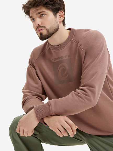 Свитшот Термирра Logo box