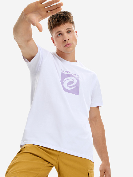 Футболка мужская Термирра logo box