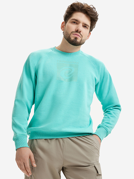 Свитшот мужской с большим логотипом Термирра