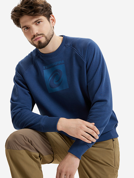 Свитшот мужской с большим логотипом Термирра