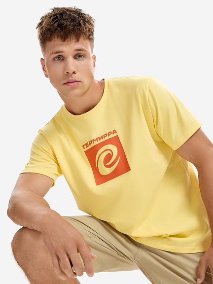 Футболка мужская Термирра logo box