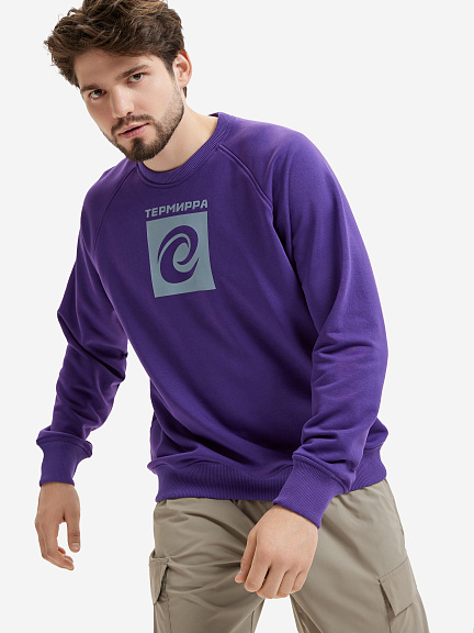 Свитшот мужской с большим логотипом Термирра